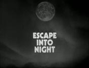 Escape Into Night Logo